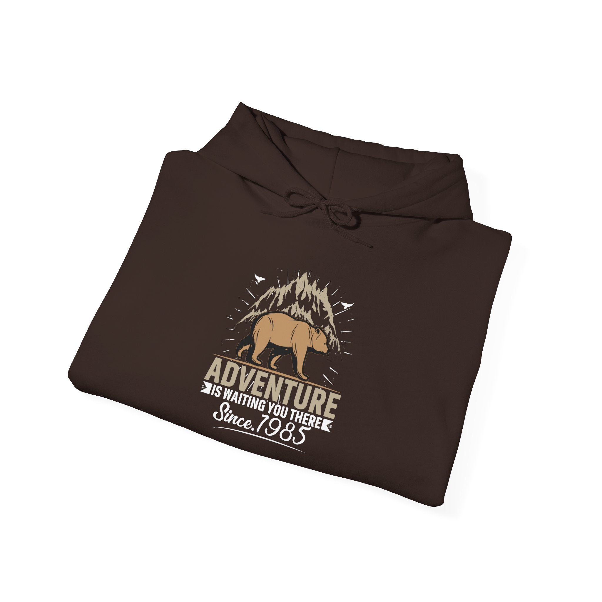 Wild-Spirit Mountain Bear Hoodie