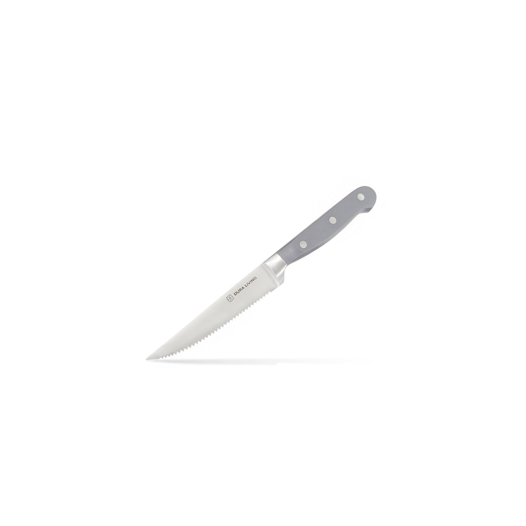 Superior Set of 4 Steak Knives - Gray